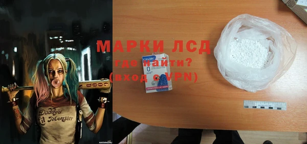 индика Горняк