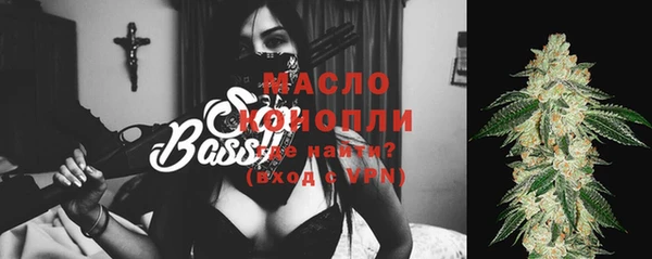 индика Горняк