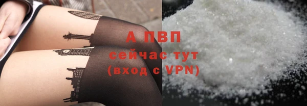 индика Горняк