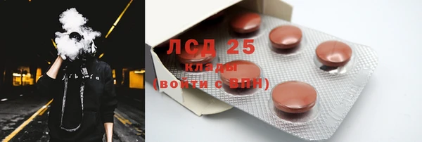 индика Горняк