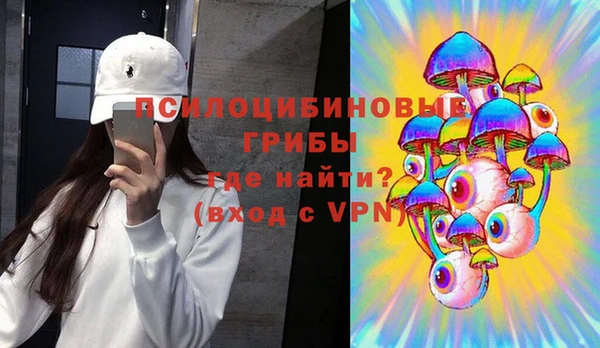 индика Горняк