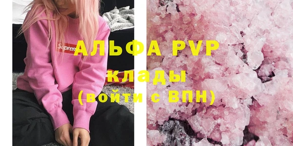 индика Горняк