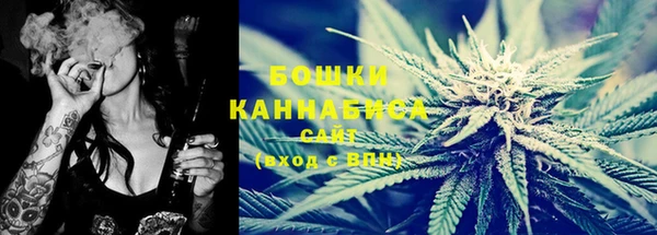 мдпв Горно-Алтайск