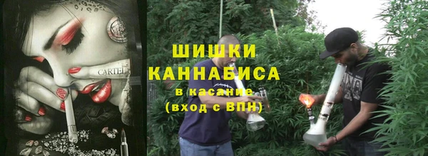 индика Горняк