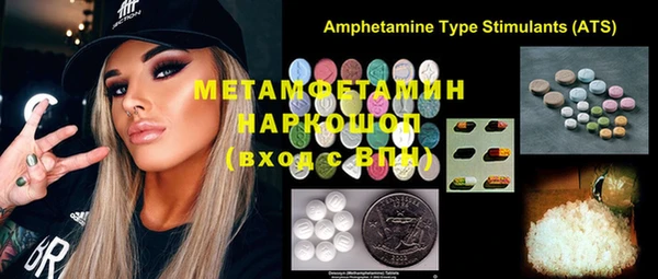 индика Горняк