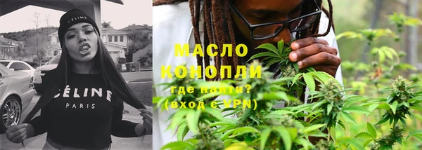 индика Горняк