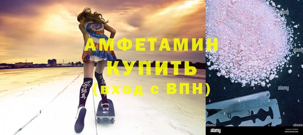 индика Горняк