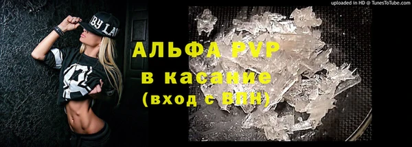мдпв Горно-Алтайск