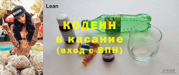 индика Горняк