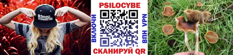 Псилоцибиновые грибы Psilocybine cubensis  Купить закладки  Терек 